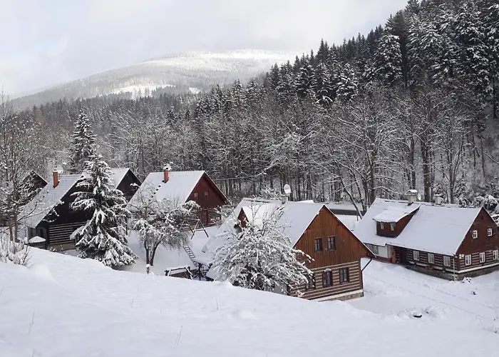 čistá V Krkonoších 8 Chalet *